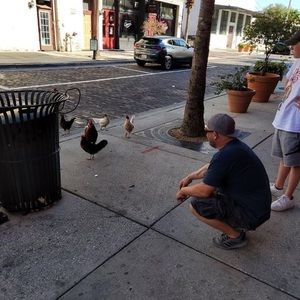 Meet your Posher, Tommy